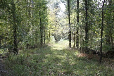 Approximately 175 acres in prime MS hunting country! This - photo 13