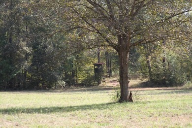 Approximately 175 acres in prime MS hunting country! This - photo 14