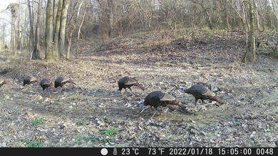 Approximately 175 acres in prime MS hunting country! This - photo 18