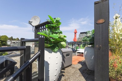 Welcome to Alma Court, an intimate boutique building tucked away - photo 21