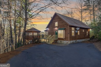 Lake Home For Sale in Blue Ridge, Georgia