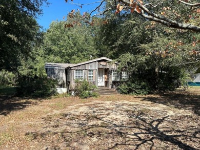 Lake Home For Sale in Summerton, South Carolina