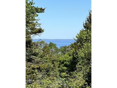 Rarely does an opportunity arise to own nearly an acre of land - photo 3