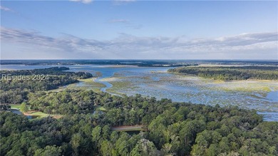 Accessible Lowcountry Living on beautiful Callawassie Island! - photo 48