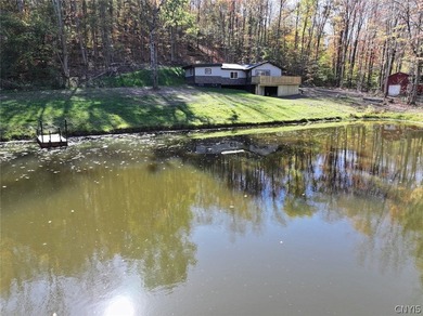 (private lake, pond, coastal) Acreage For Sale in Franklinville New York