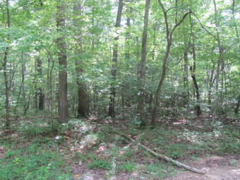 Lake Glastowbury Lot For Sale in Fairfield Glade Tennessee