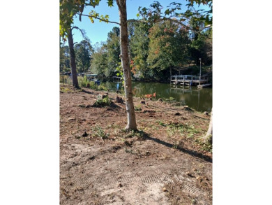 Lake Lot For Sale in Summerton, South Carolina