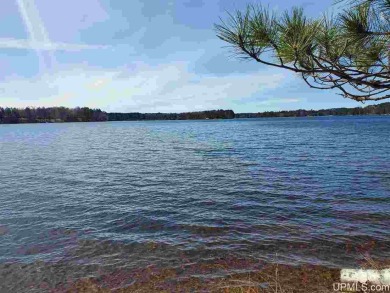 Lake Mary Acreage For Sale in Update Michigan