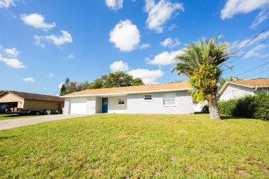 Lake Runnymede  Home For Sale in Saint Cloud Florida