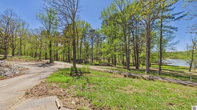 Kentucky Lake Legacy Opportunity | Where Memories Were Made - photo 49