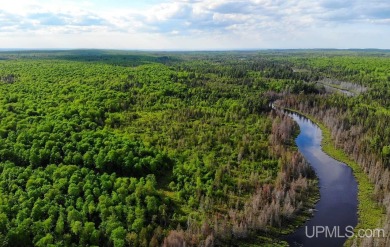(private lake, pond, creek) Acreage For Sale in Covington Michigan