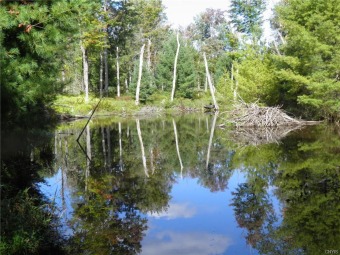Black River - Lewis County Acreage For Sale in Lyons Falls New York