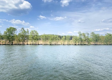 Lake Lot For Sale in Florien, Louisiana