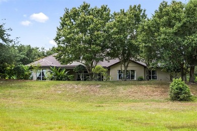 Welcome to 25551 Hawks Run Lane, an exquisite 5-bedroom, 4 - photo 11