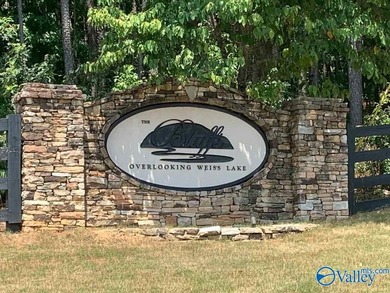 Enjoy extravagant views from the gated community of The Bluffs - photo 13