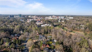 Located on Lullwater Road, the premier tree-lined street in - photo 27