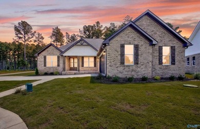 Move-in ready, beautiful new construction home located in The - photo 30
