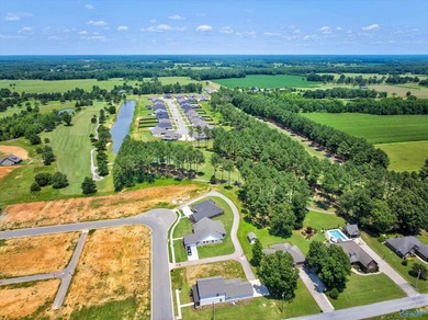 Move-in ready, beautiful new construction home located in The - photo 34