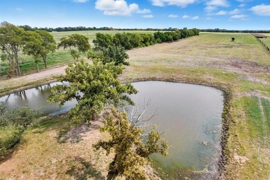 (private lake, pond, creek) Acreage For Sale in Blue Ridge Texas