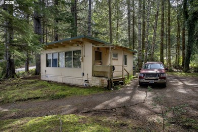 Situated between Woahink and Siltcoos Lakes, this wooded 1 - photo 4