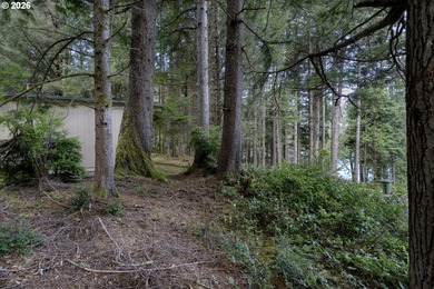 Situated between Woahink and Siltcoos Lakes, this wooded 1 - photo 8