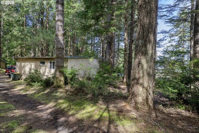 Situated between Woahink and Siltcoos Lakes, this wooded 1 - photo 10