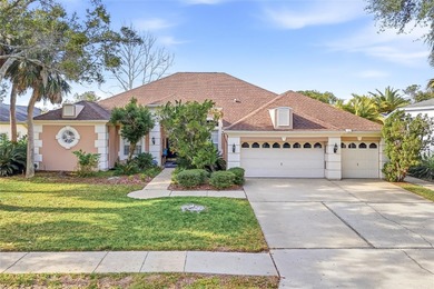 Lake Tarpon Home For Sale in Palm Harbor Florida