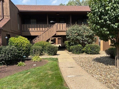 Lake Erie - Lorain County Condo Sale Pending in Avon Lake Ohio