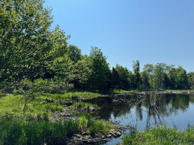 Lake Lot For Sale in Lewis, New York