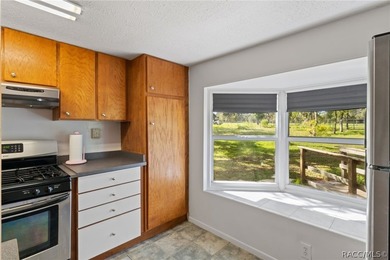Calling all folks that are looking for country living, but want - photo 15