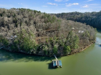 North Rock Creek - Summer on Smith Lake awaits with this - photo 15