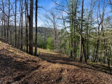 North Rock Creek - Summer on Smith Lake awaits with this - photo 17