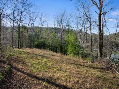 North Rock Creek - Summer on Smith Lake awaits with this - photo 18