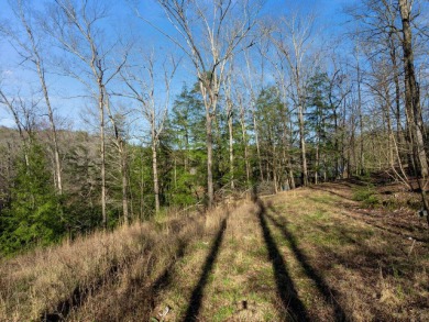 North Rock Creek - Summer on Smith Lake awaits with this - photo 19