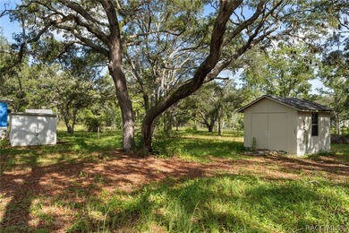 Calling all folks that are looking for country living, but want - photo 24