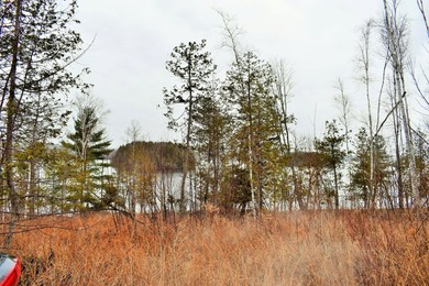 Exceptional Find! Are you looking for a water front and acreage - photo 5