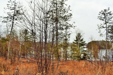 Exceptional Find! Are you looking for a water front and acreage - photo 6