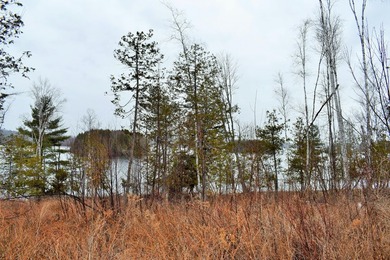 Exceptional Find! Are you looking for a water front and acreage - photo 7