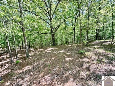 Kentucky Lake Area Home at 349 Hiatt Cemetery Rd. Lots of Space - photo 27