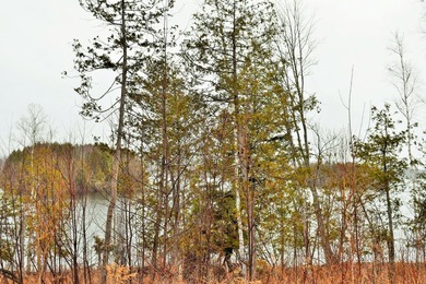 Exceptional Find! Are you looking for a water front and acreage - photo 8