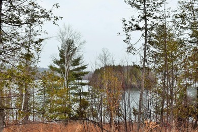 Exceptional Find! Are you looking for a water front and acreage - photo 9