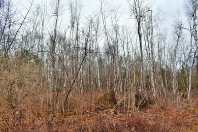 Exceptional Find! Are you looking for a water front and acreage - photo 10