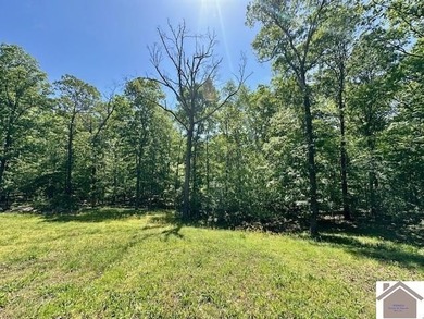 Kentucky Lake Area Home at 349 Hiatt Cemetery Rd. Lots of Space - photo 30