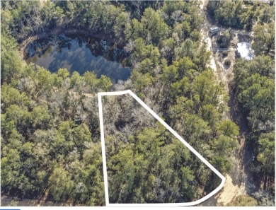 Lake Lot For Sale in Ponce De Leon, Florida