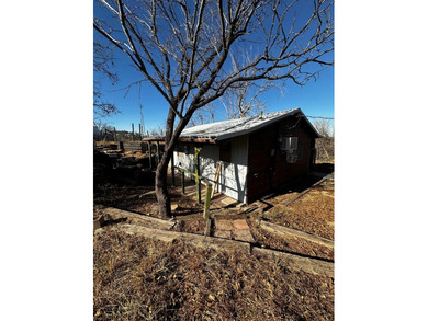 (private lake, pond, coastal) Home For Sale in Colorado City Texas