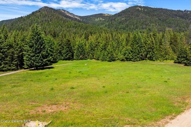 Some land has a special history. This property was home to Hope - photo 7