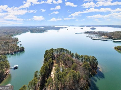 Lake Home For Sale in Gainesville, Georgia