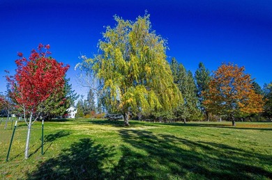Bitterroot River Lot Active Under Contract in Missoula Montana