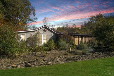 Ohio River Home Sale Pending in Pleasant Twp Ohio