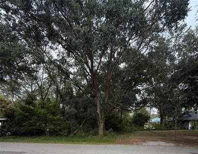 Lake Gary Lot Sale Pending in Sanford Florida